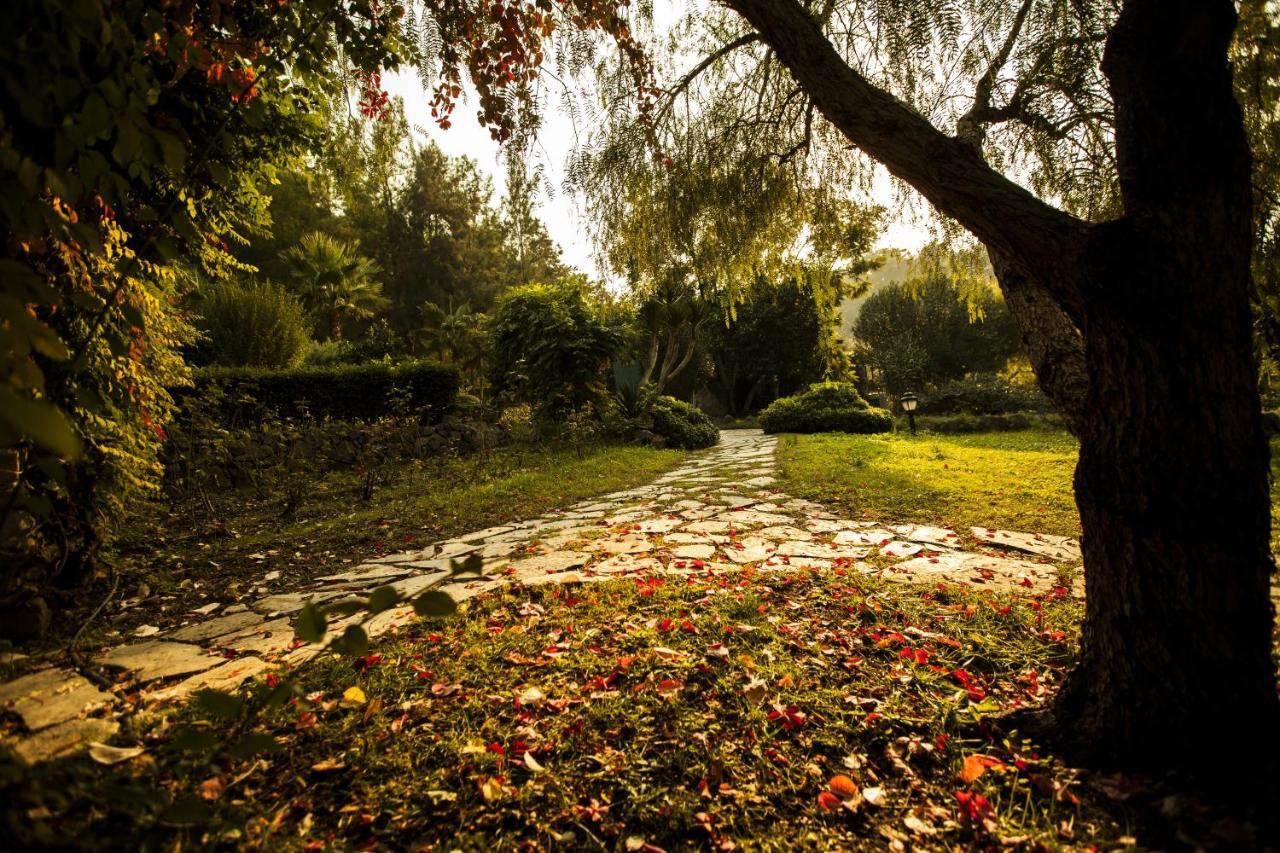 Hotel Berke Ranch&Nature Kemer Luaran gambar